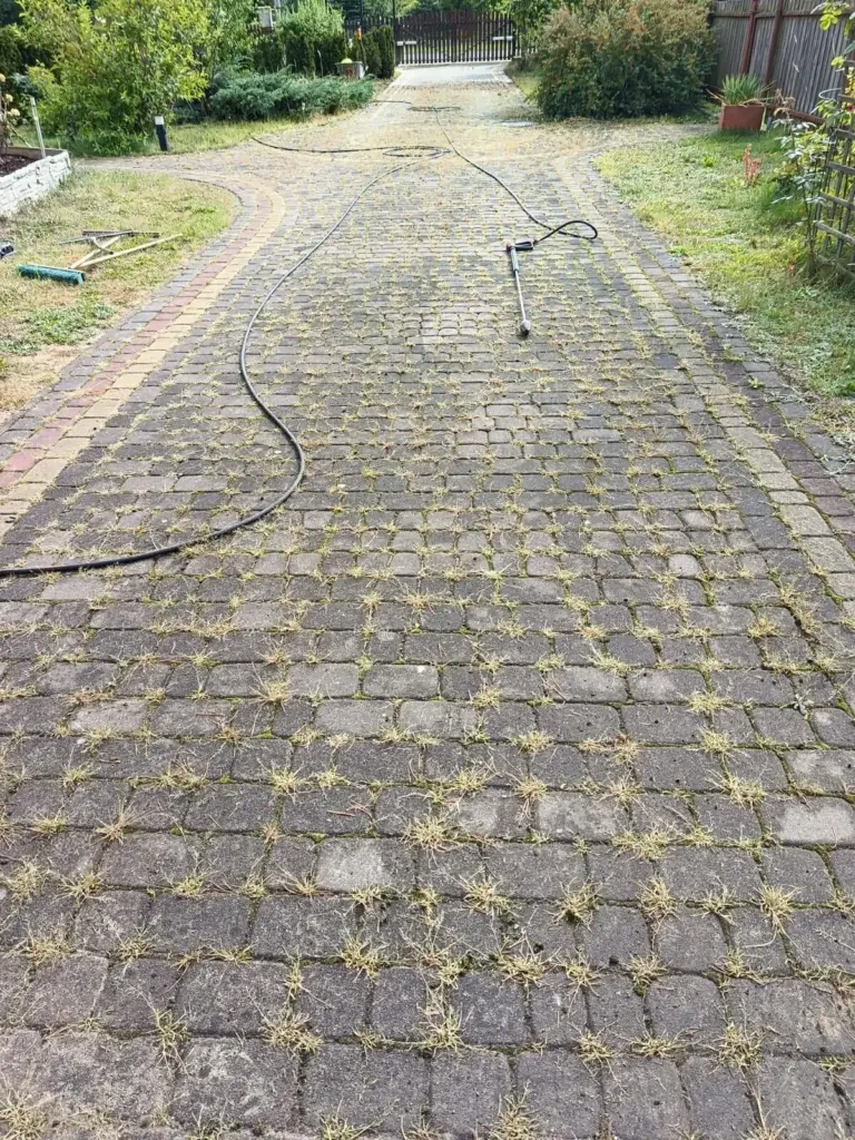 Szara kostka brukowa na ścieżce przed myciem - mech i trawa w fugach