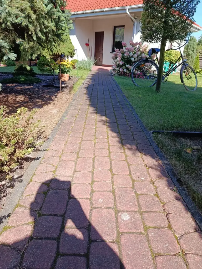 Czerwona kostka brukowa na ścieżce przy domu przed czyszczeniem - zabrudzenia i naloty